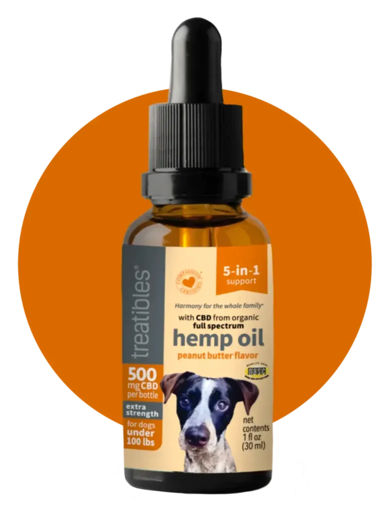 CBD for Pets