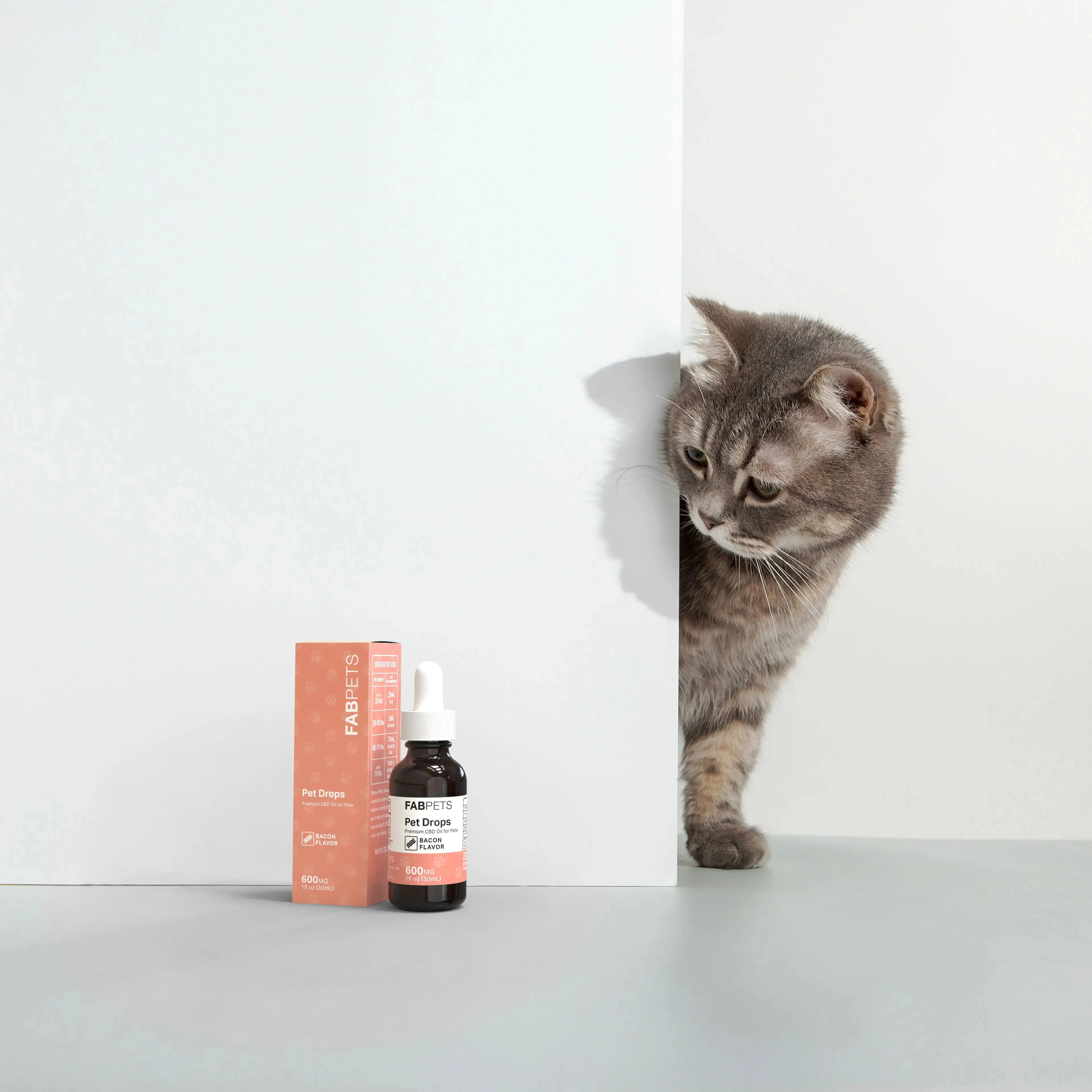 CBD Oil for Pets 600mg